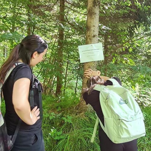 erste_hilfe_outdoor_mundinghuette