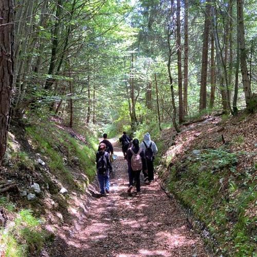 erste_hilfe_outdoor_mundinghuette