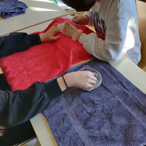 Die Szene zeigt die Durchführung einer Maniküre