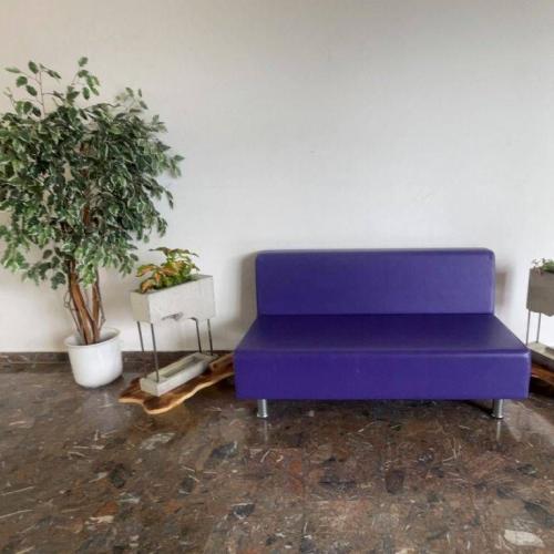 Bild zeigt ein violettes Sofa links und rechts daneben befindet sich ein Blumenkasten aus Sichtbeton und ein Benjaminfikus steht links im Hintergrund