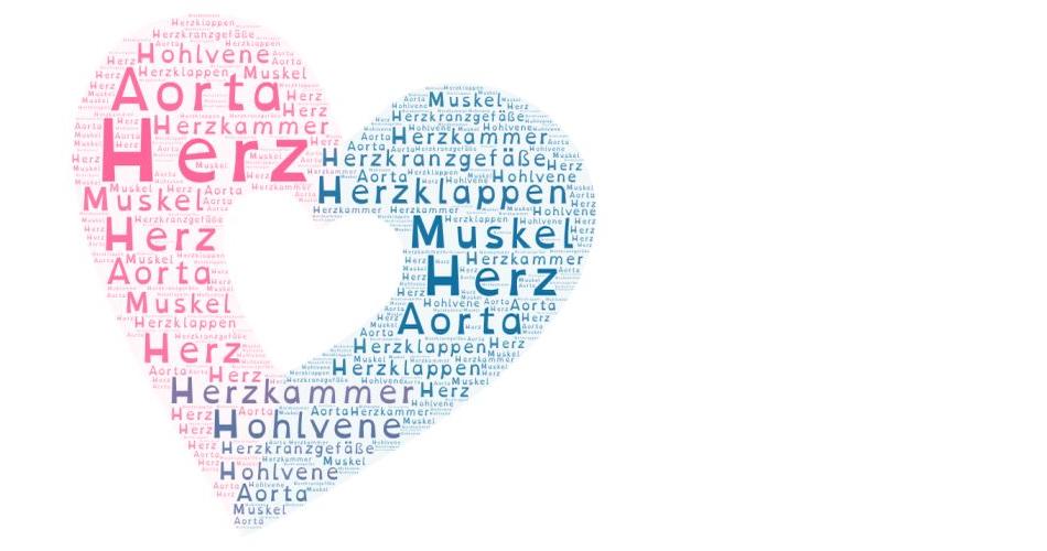 Projekt_Herz