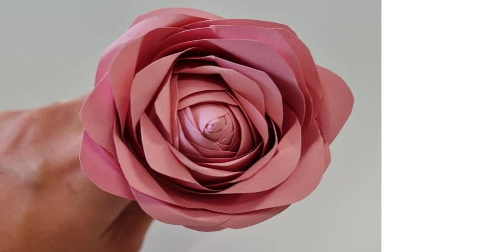 Muttertag_Rose